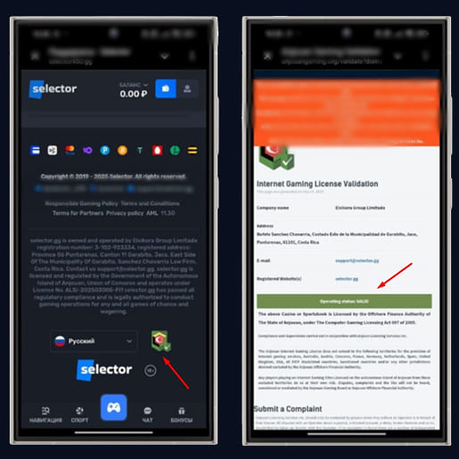 Лицензия Selector Casino