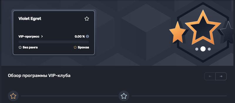 Актуальный статус по программе лояльности